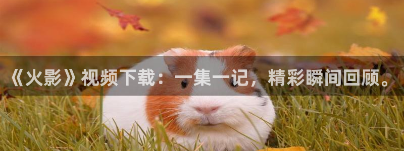 橘子视频ios：《火影》视频下载：一集一记，精彩瞬间回顾。