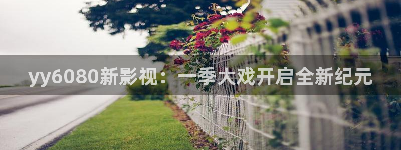 橘子tv电影