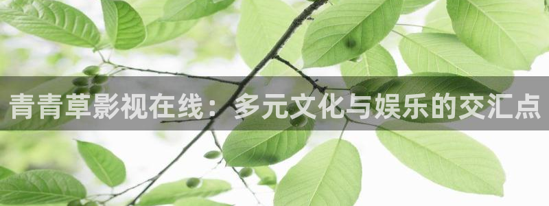 橘子罐头的做法视频