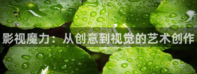 橘子的搞笑视频