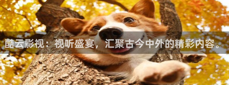 www.橘子视频
