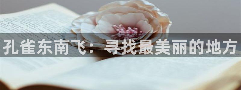 橘子的电影：孔雀东南飞：寻找最美丽的地方