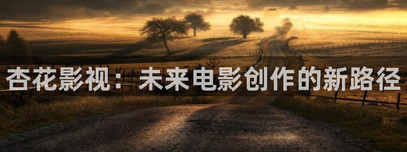 橘子小橘子：杏花影视：未来电影创作的新路径